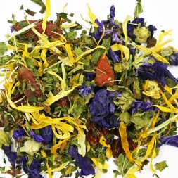 Infusion J'suis pas du matin bio- infusion coup de fouet- FBKT