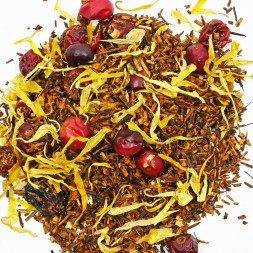 Rooibos canneberge orange gingembre bio