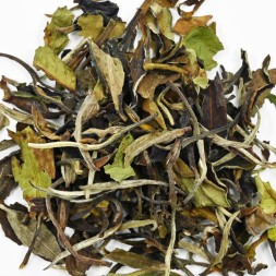 Thé blanc Pai Mu Tan bio