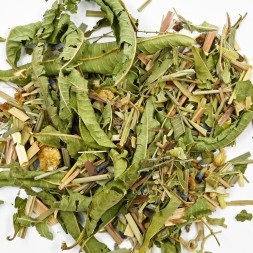 Infusion Thym citron romarin bio- infusion détox- FBKT