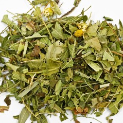 Infusion Verveine menthe bio-FBKT