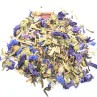 Infusion Bientôt le bikini bio- infusion minceur- FBKT