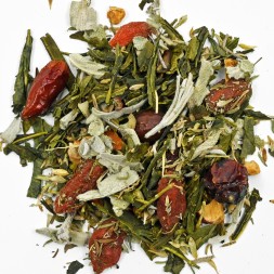 Infusion Dans les starting- blocks bio- infusion coup de fouet- FBKT