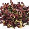 infusion En grosses chaussettes sous le plaid bio-infusion bien-être-FBKT