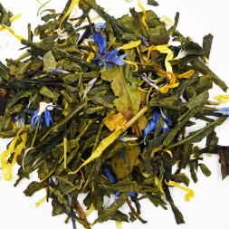 Thé vert et blanc Exotique bergamote bio FBKT