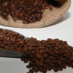 Café du Brésil Santa Antonio