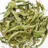 Infusion J'ai trop forcé bio- infusion digestion facile- FBKT
